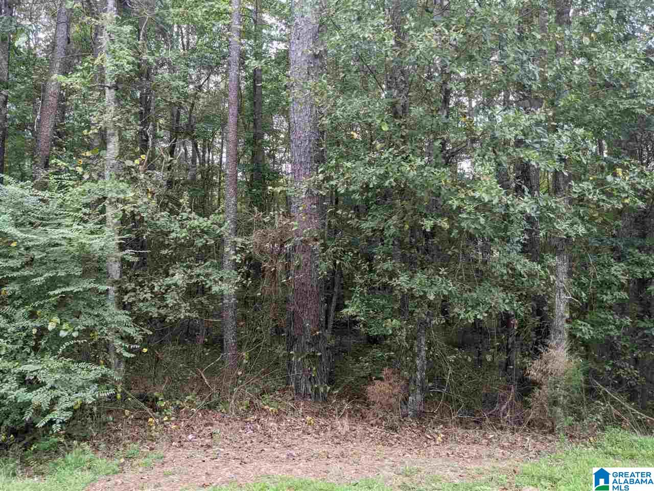 0 Smith Avenue, Unit 3 2 Anniston, AL 36207 - Photo 19 of 43