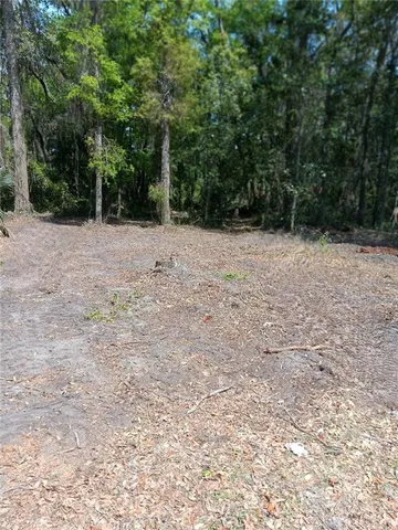 $27,000 | Tbd Northeast Bascom Norris Drive, Lake City, FL 32055