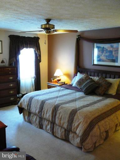 8652 Morning Star Court Springfield, VA 22153 - Photo 4 of 19 Master Bedroom