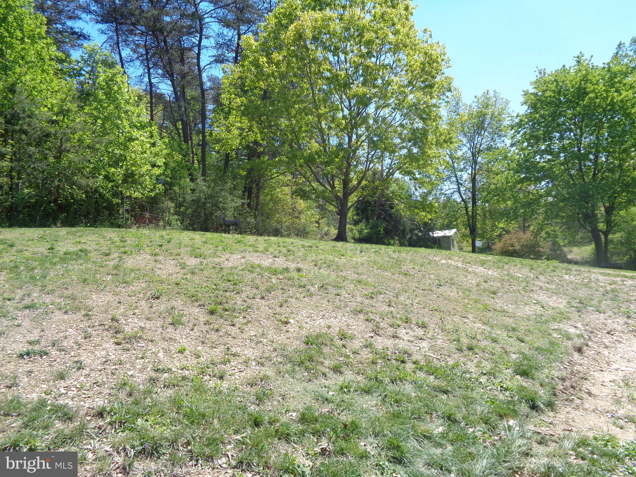 233 Bell Road Harpers Ferry, WV 25425 - Photo 26 of 26 BACK YARD