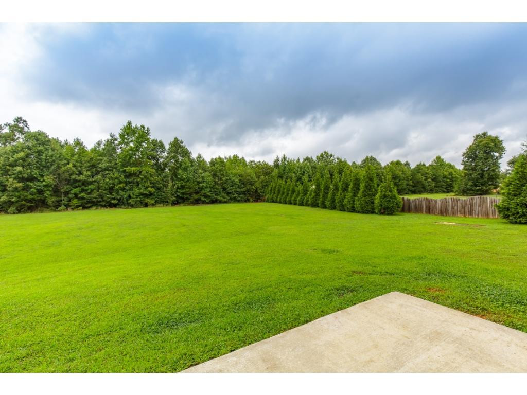 7331 Union Camp Road Snow Camp, NC 27349 - Photo 22 of 24 Gallery Image 22