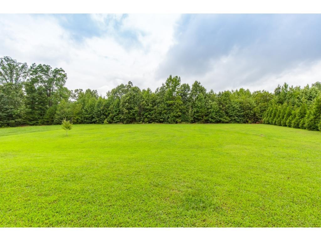 7331 Union Camp Road Snow Camp, NC 27349 - Photo 23 of 24 Gallery Image 23