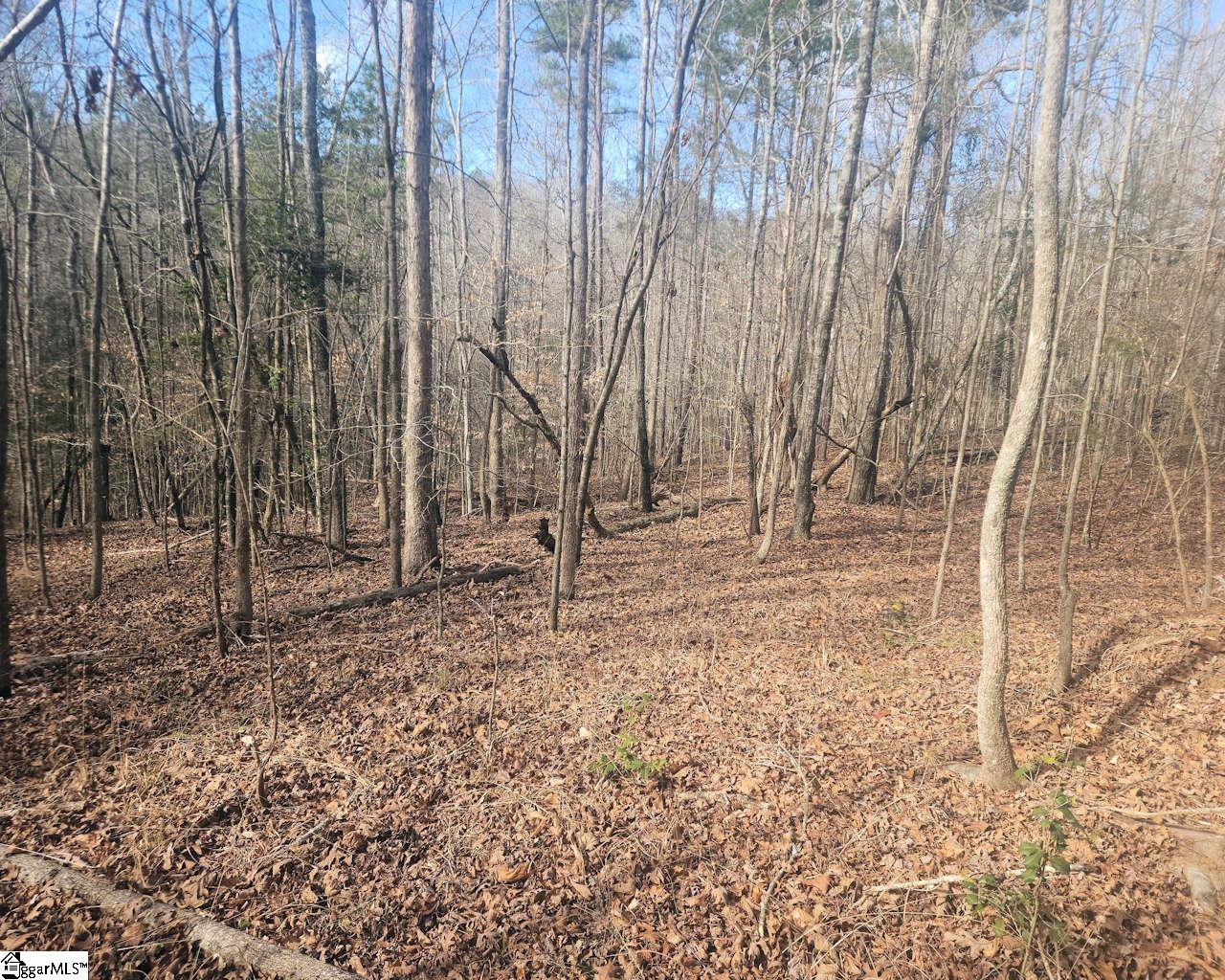 25 S Highway Ware Shoals, SC 29692 - Photo 14 of 24