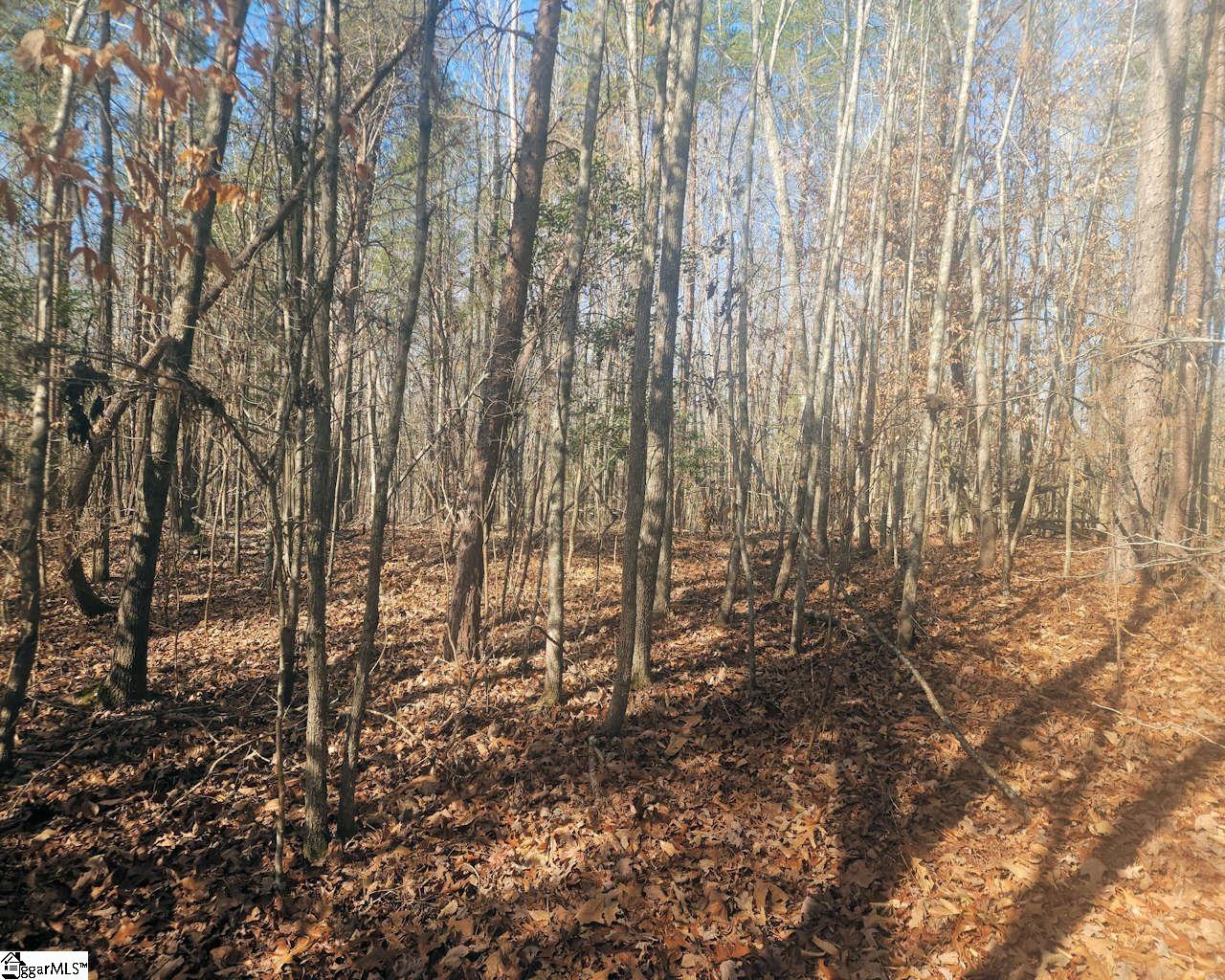 25 S Highway Ware Shoals, SC 29692 - Photo 15 of 24