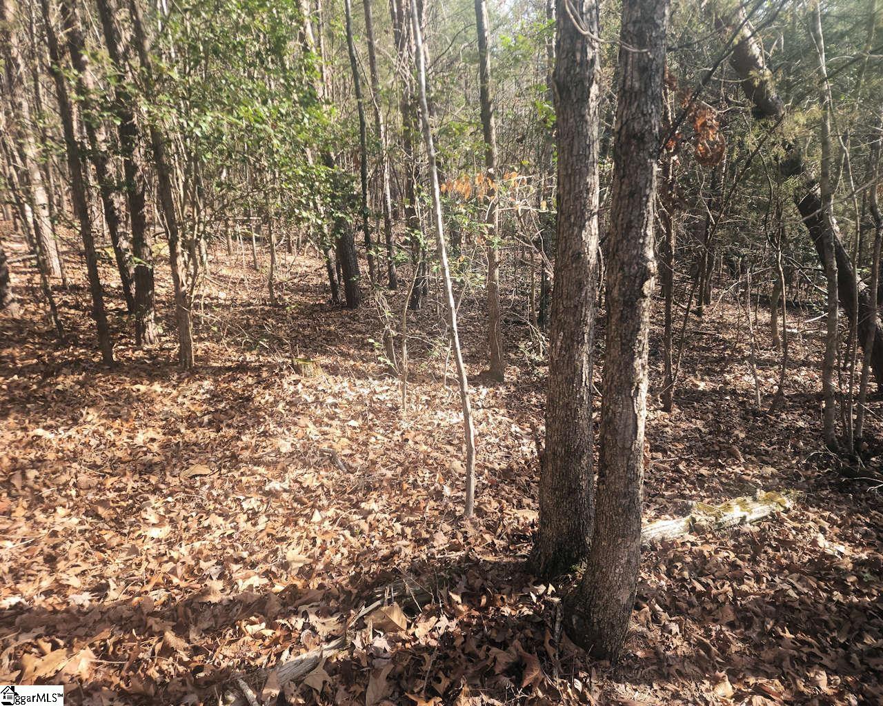 25 S Highway Ware Shoals, SC 29692 - Photo 16 of 24