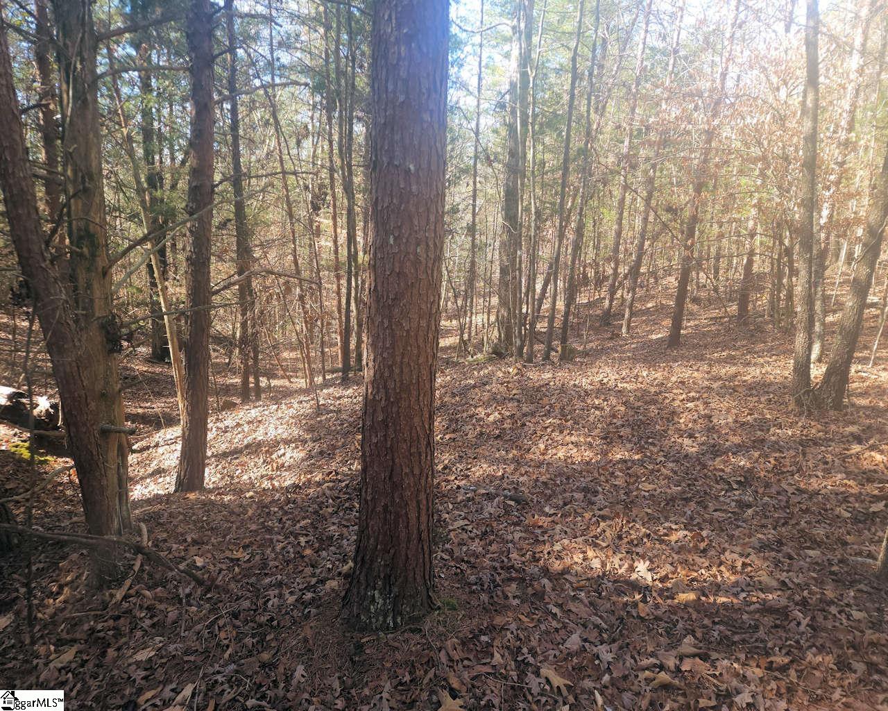 25 S Highway Ware Shoals, SC 29692 - Photo 17 of 24