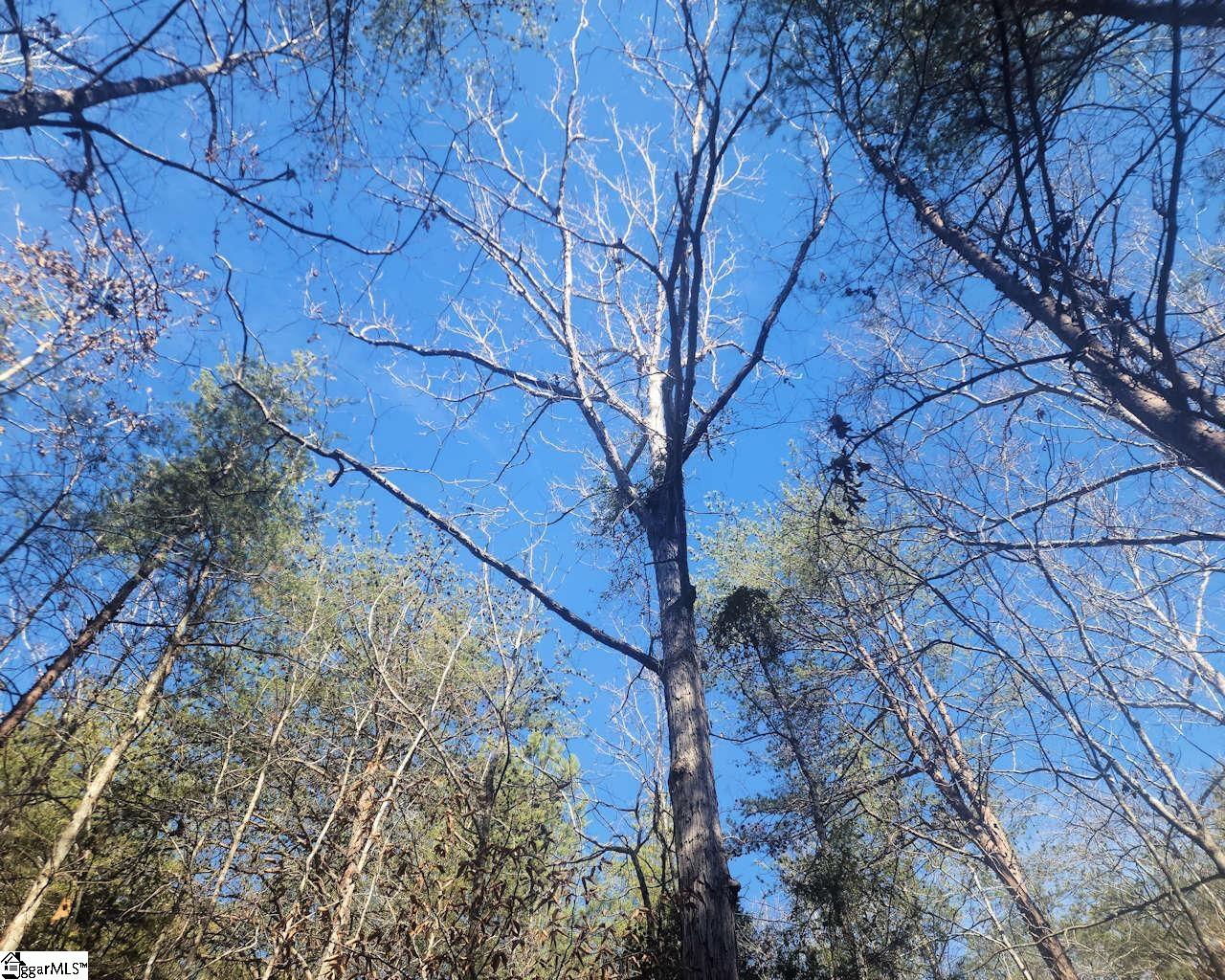 25 S Highway Ware Shoals, SC 29692 - Photo 18 of 24