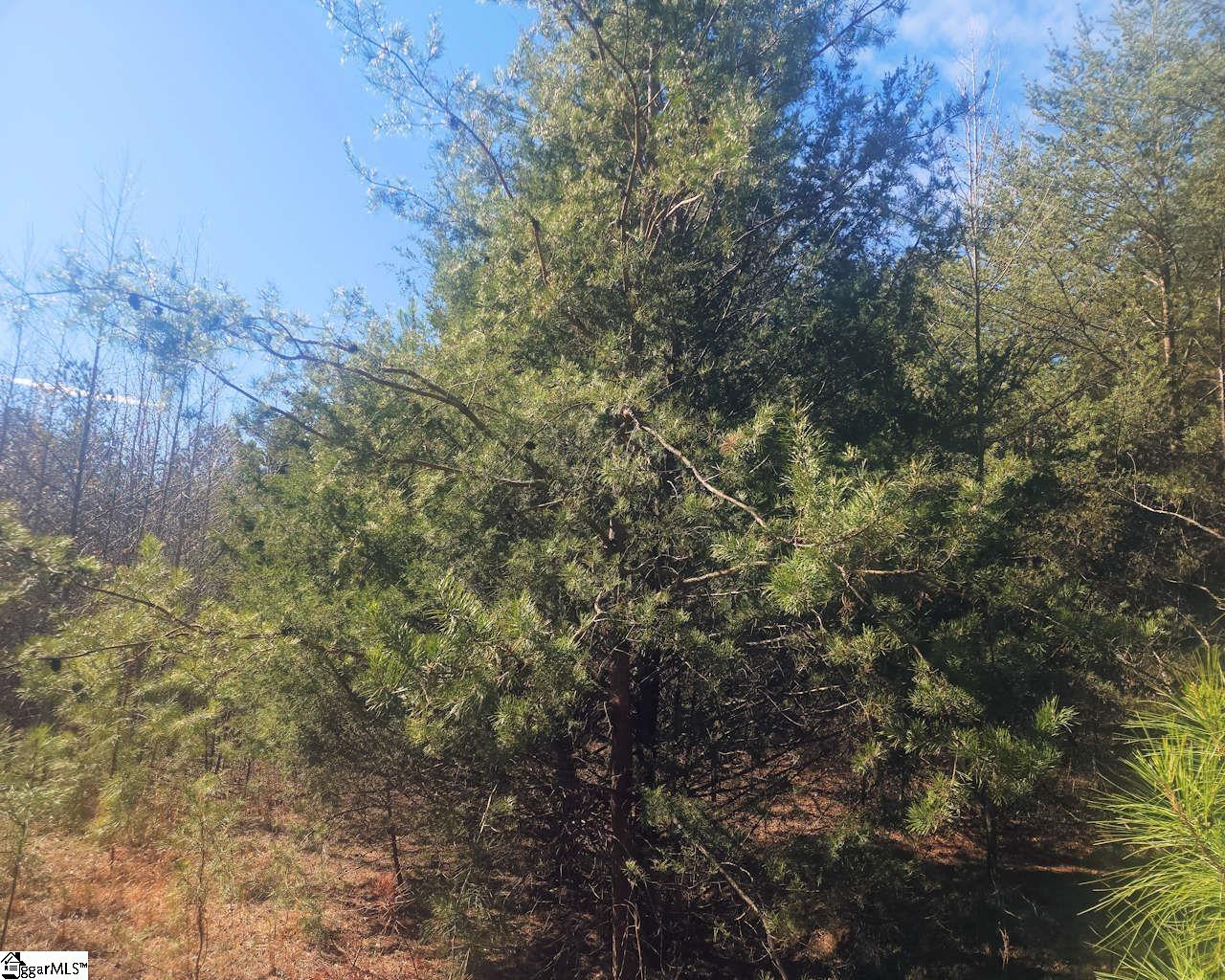 25 S Highway Ware Shoals, SC 29692 - Photo 19 of 24