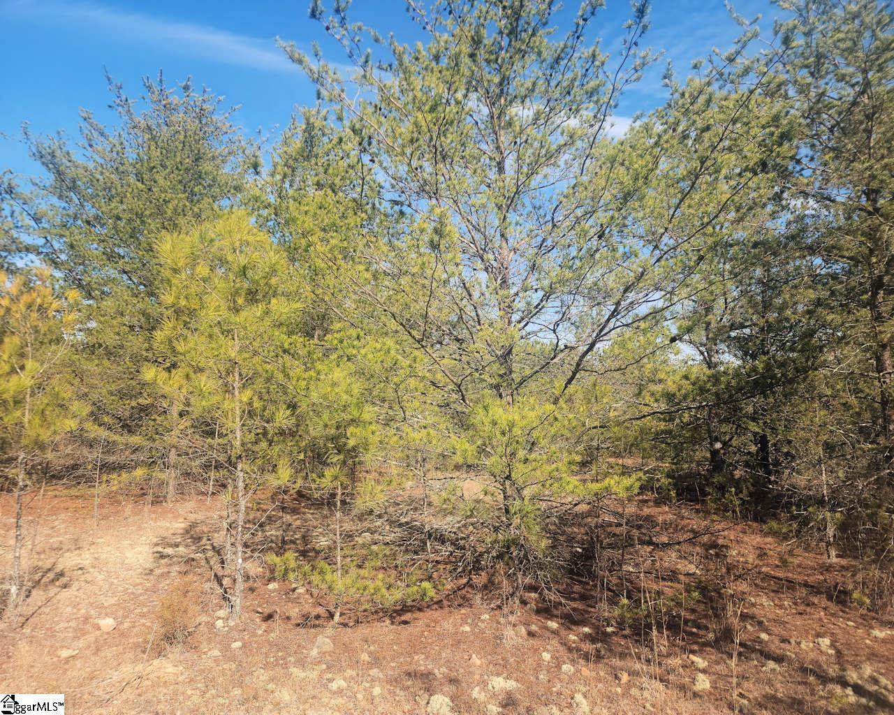 25 S Highway Ware Shoals, SC 29692 - Photo 20 of 24