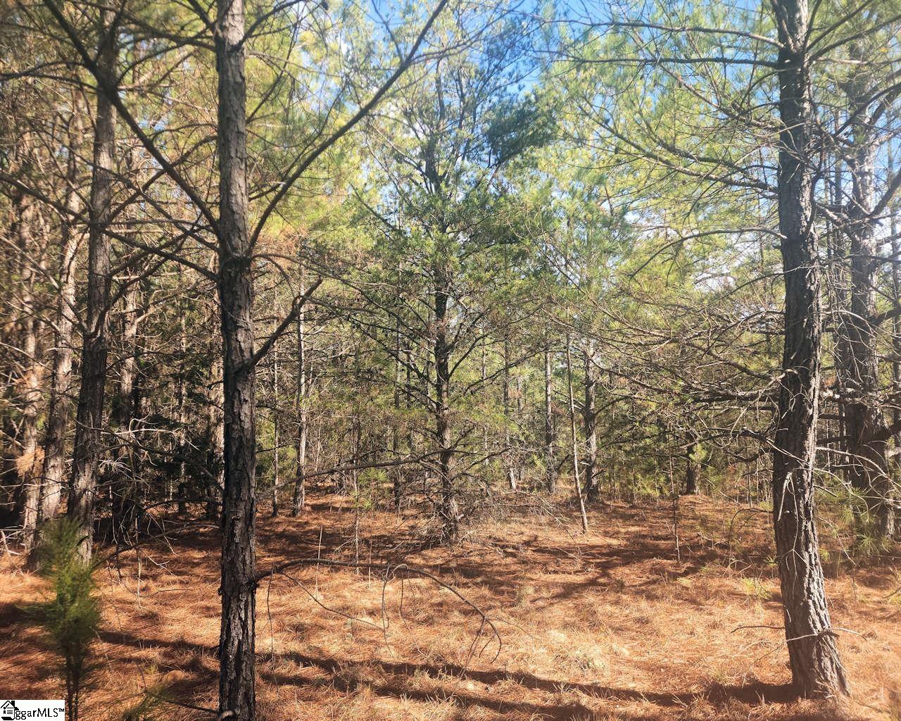 25 S Highway Ware Shoals, SC 29692 - Photo 21 of 24