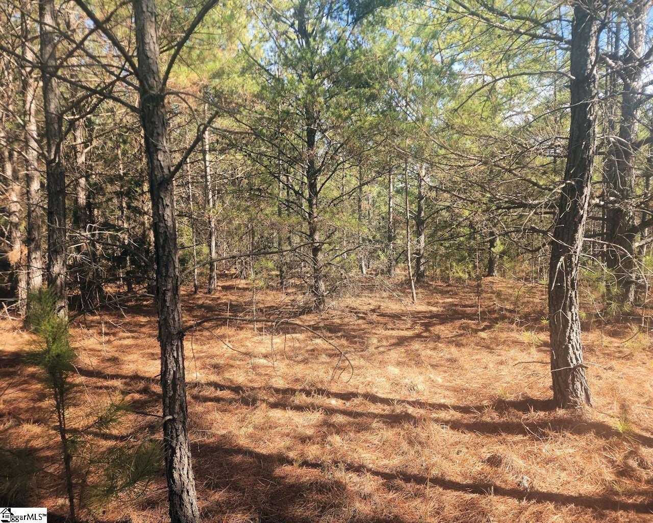 25 S Highway Ware Shoals, SC 29692 - Photo 22 of 24