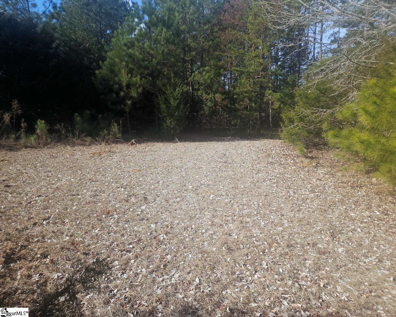 25 S Highway Ware Shoals, SC 29692 - Photo 5 of 24