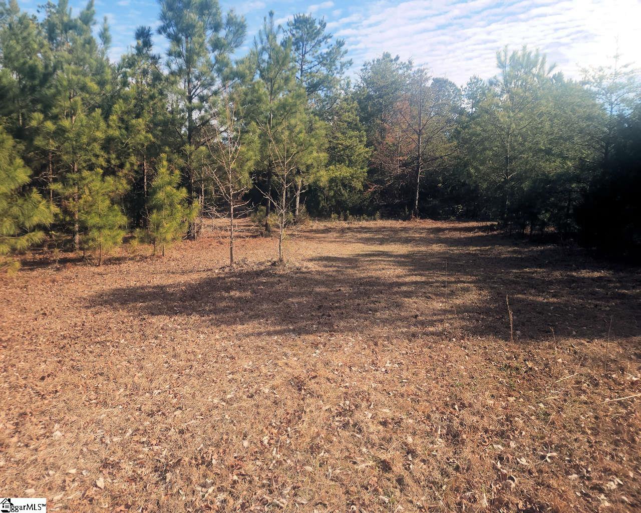 25 S Highway Ware Shoals, SC 29692 - Photo 6 of 24