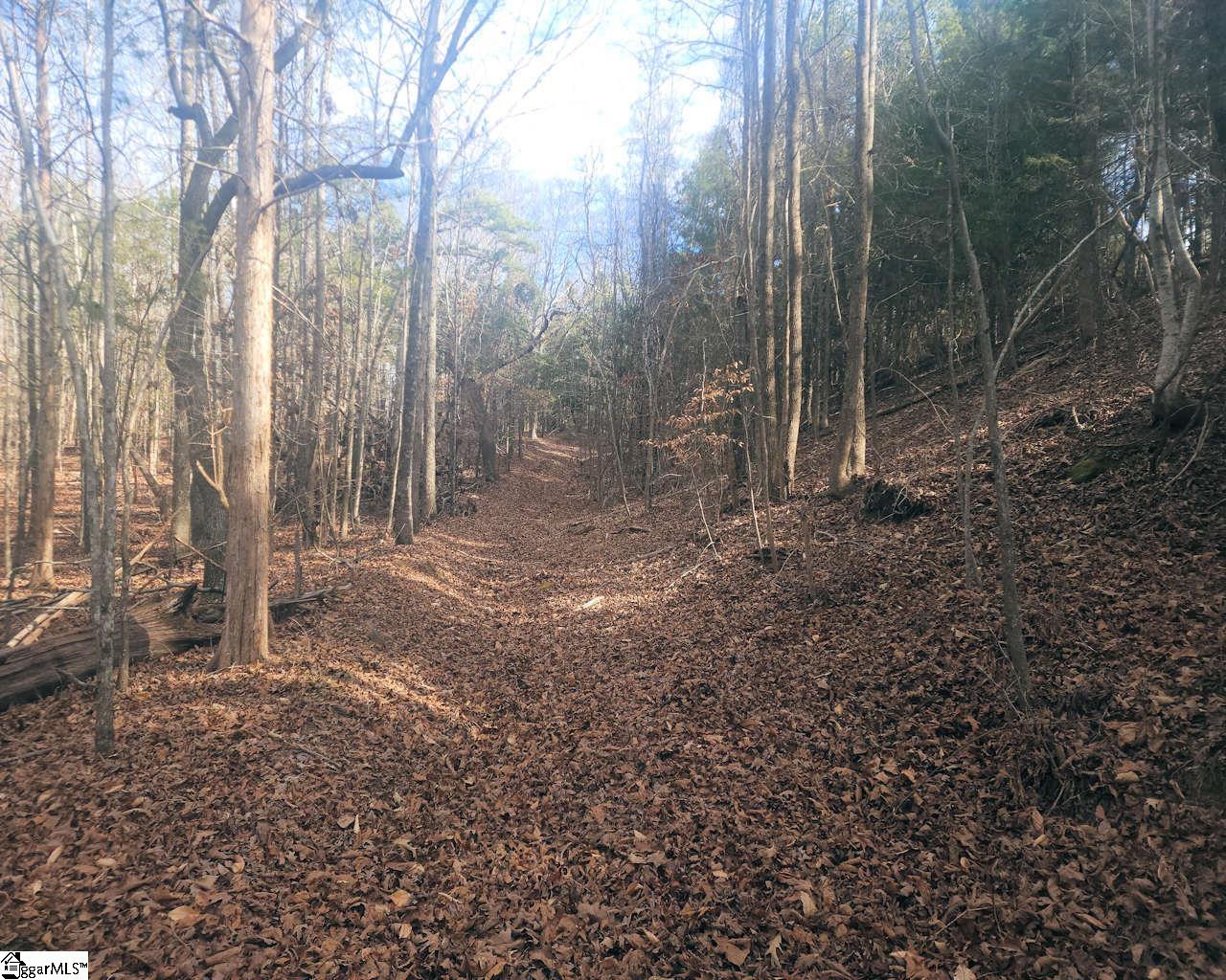 25 S Highway Ware Shoals, SC 29692 - Photo 7 of 24