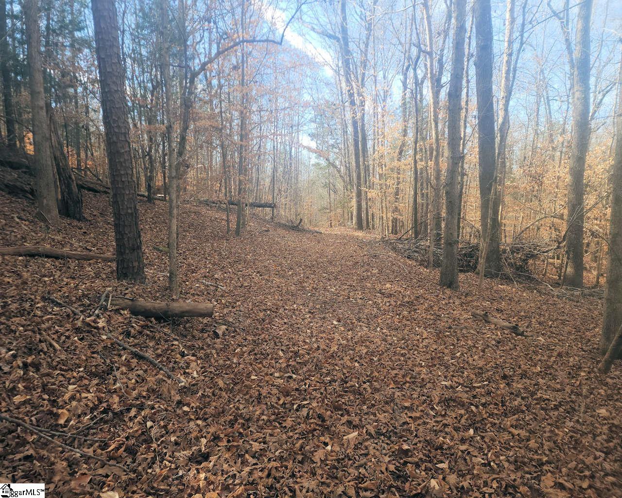 25 S Highway Ware Shoals, SC 29692 - Photo 8 of 24