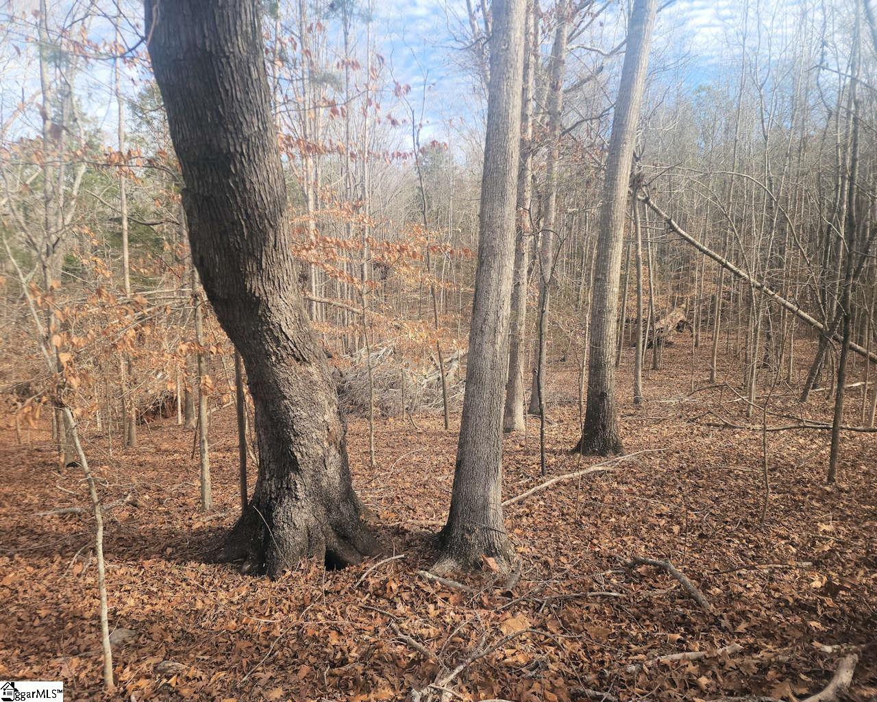 25 S Highway Ware Shoals, SC 29692 - Photo 9 of 24