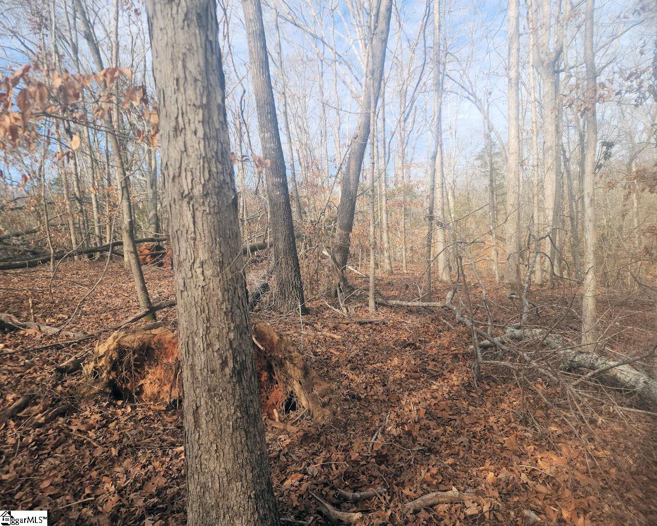 25 S Highway Ware Shoals, SC 29692 - Photo 10 of 24