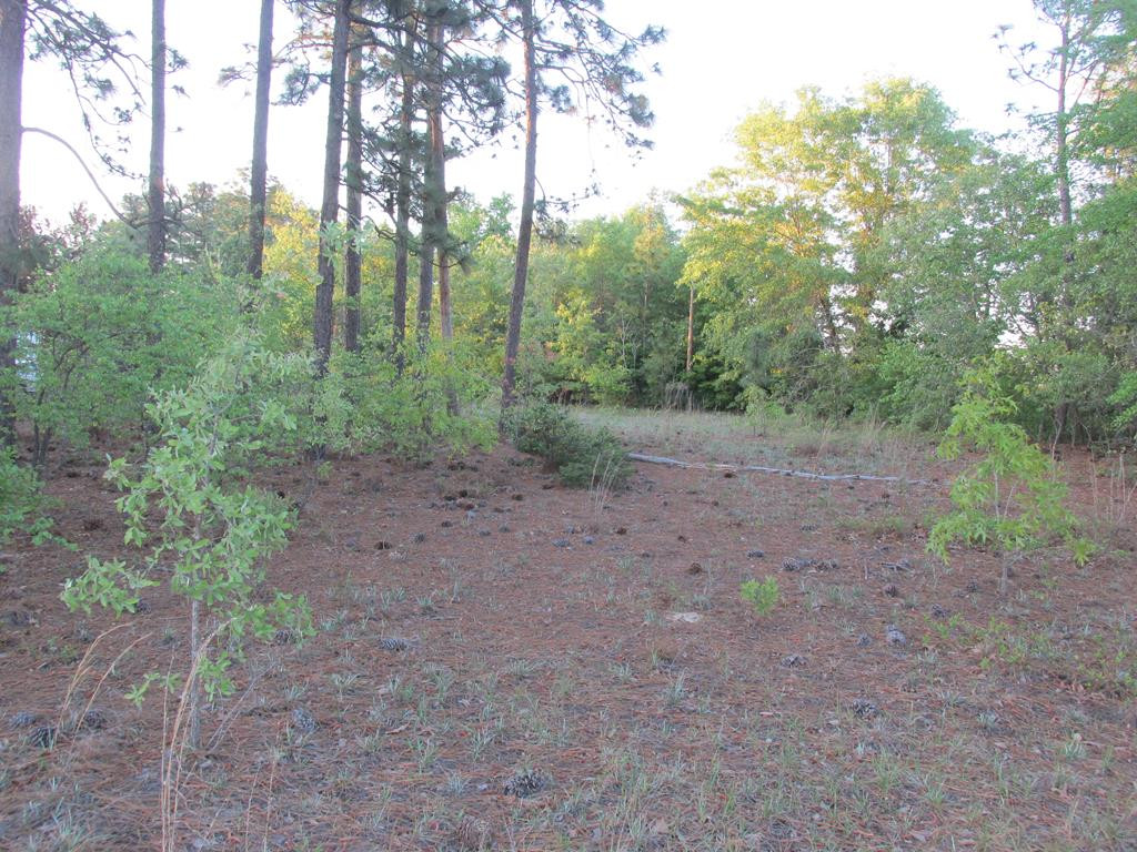 2063 Greenland Road Blythe, GA 30805 - Photo 1 of 6 Main View