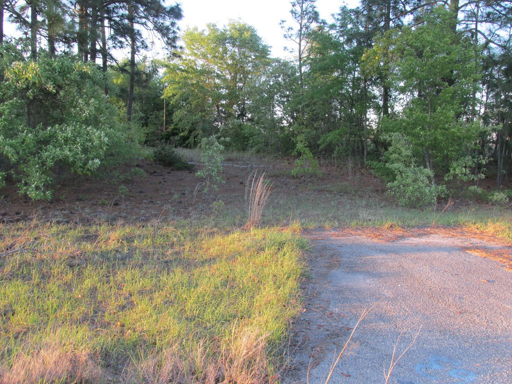 2063 Greenland Road Blythe, GA 30805 - Photo 2 of 6 Gallery Image 2