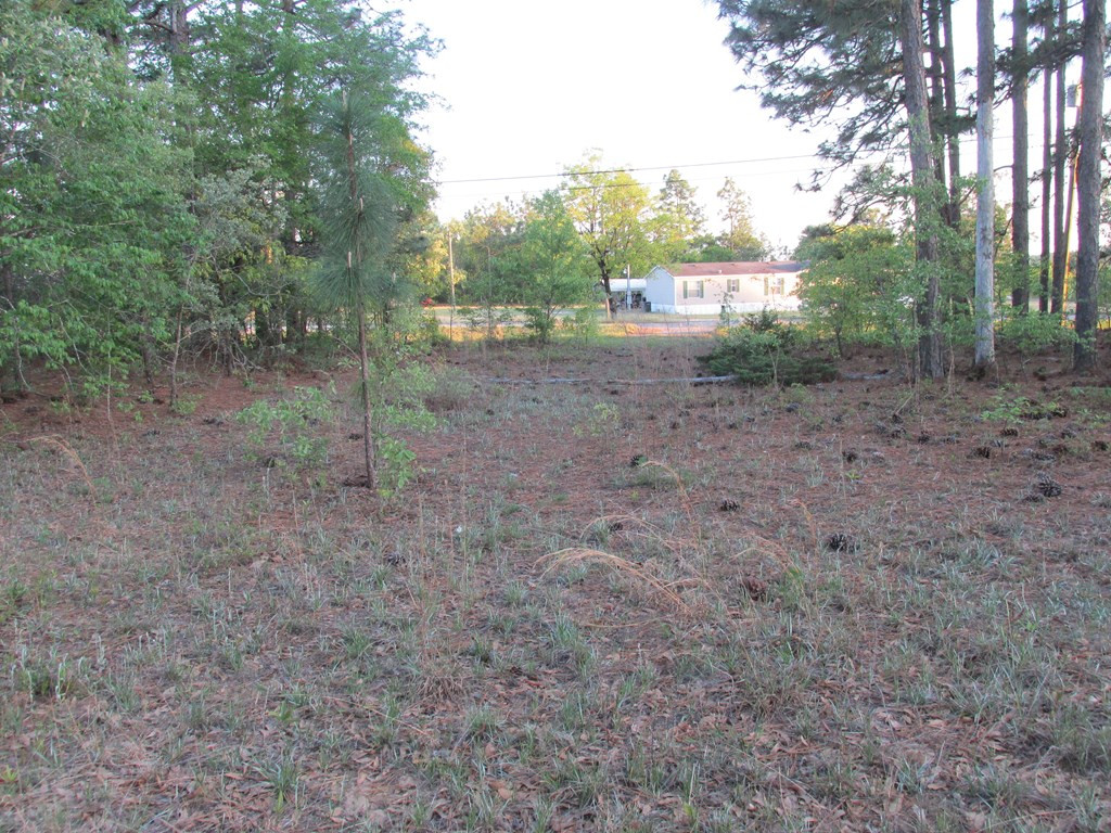 2063 Greenland Road Blythe, GA 30805 - Photo 4 of 6 Gallery Image 4
