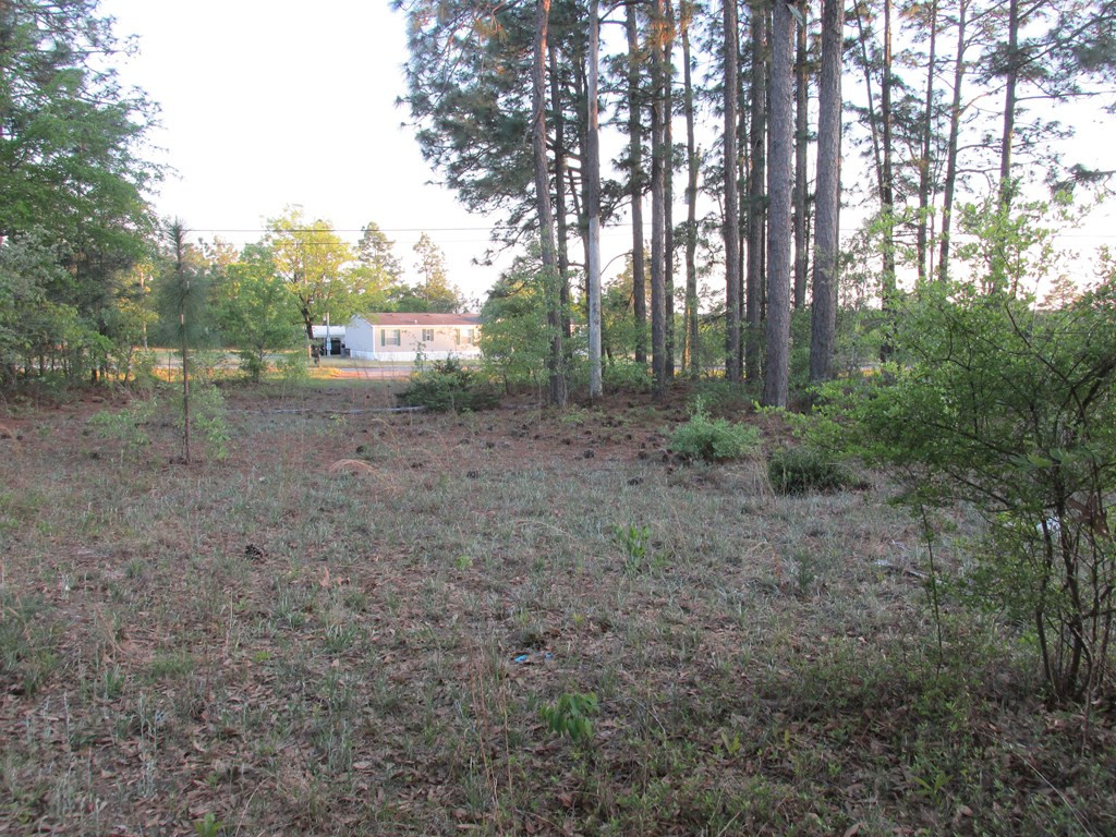 2063 Greenland Road Blythe, GA 30805 - Photo 5 of 6 Gallery Image 5