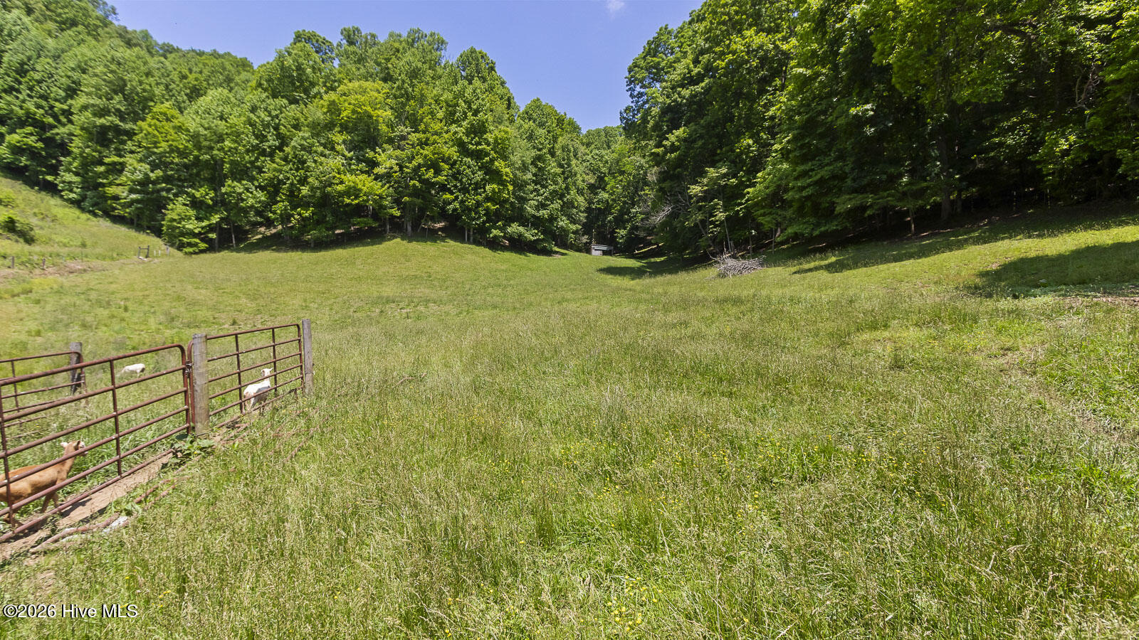 1740 Winding Stairs Road Topton, NC 28781 - Photo 109 of 129