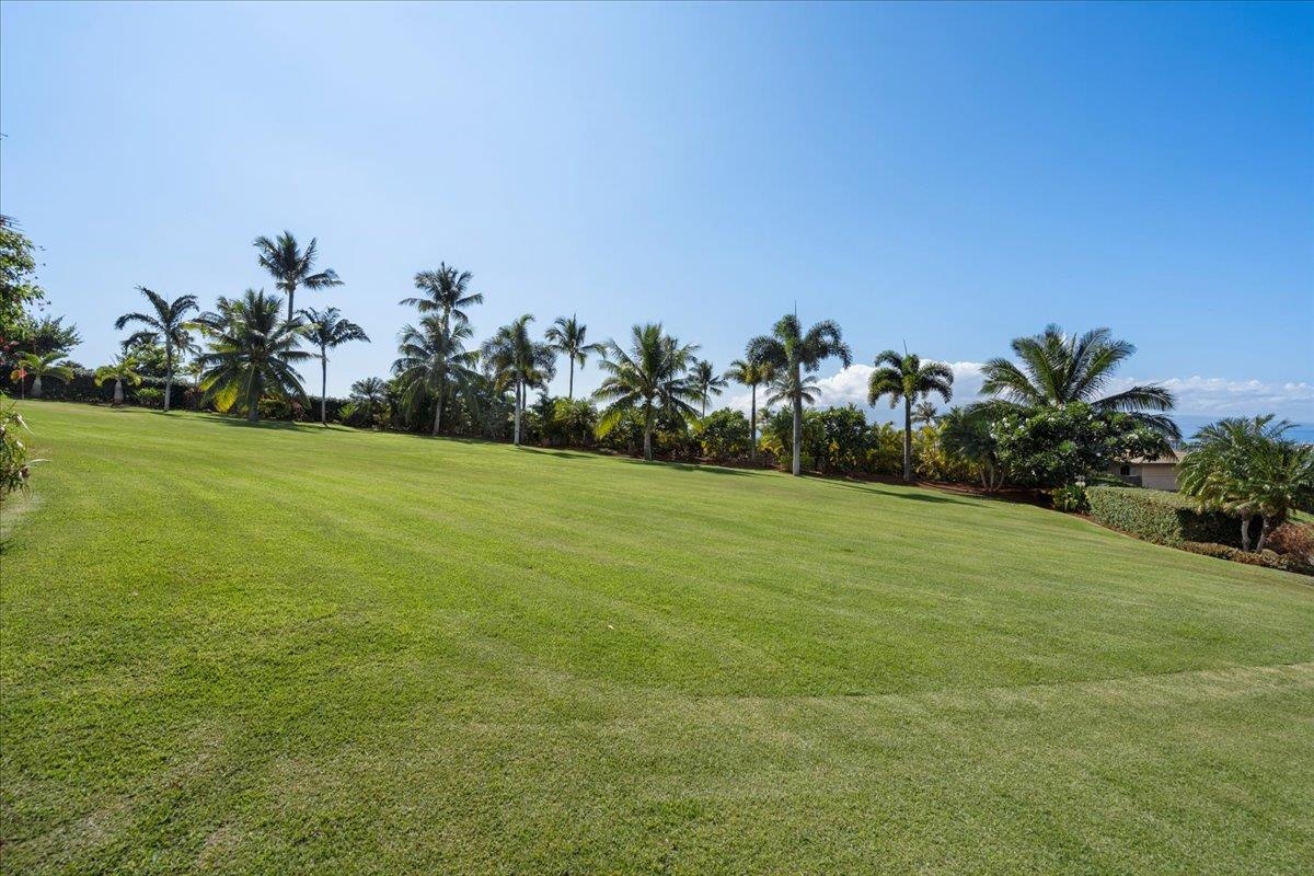 44 Anapuni Loop, Unit 3 Lahaina, HI 96761 - Photo 43 of 49 a view of a garden