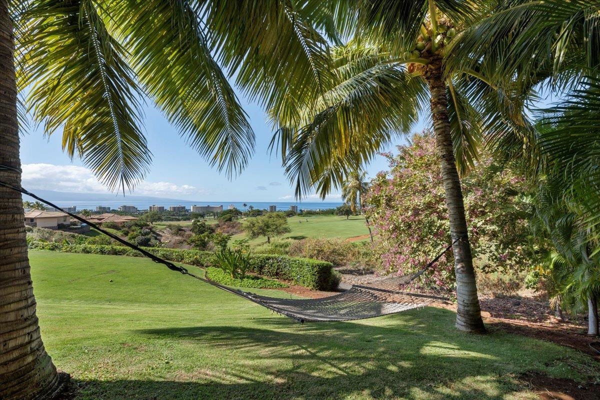 44 Anapuni Loop, Unit 3 Lahaina, HI 96761 - Photo 46 of 49 a view of swimming pool with a garden