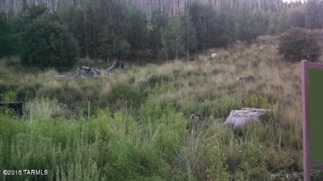 Tbd East Carter Canyon Road, Unit 4 Mount Lemmon, AZ 85619 - Photo 1 of 1