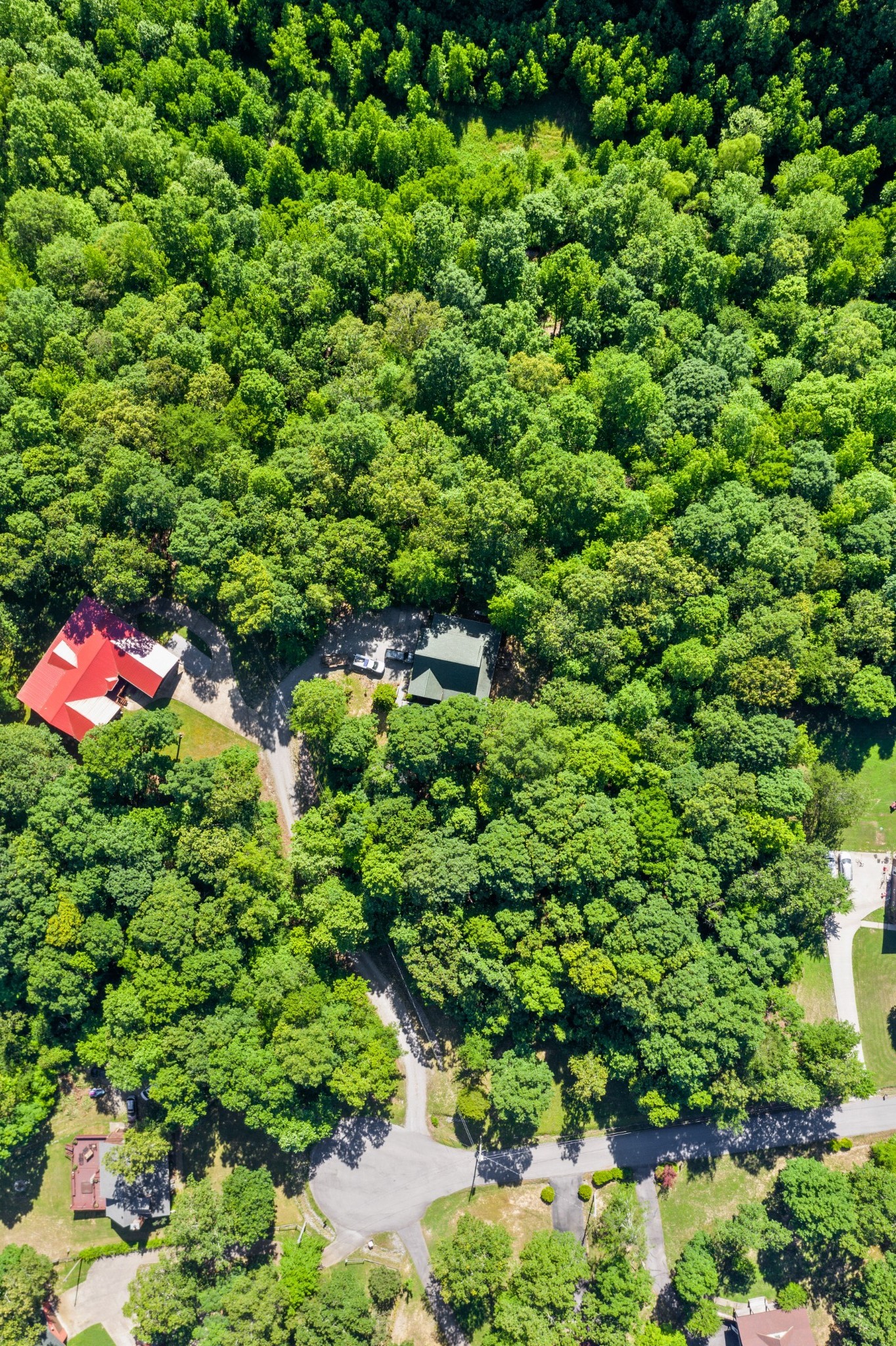 176 Jerry Smith Road Indian Mound, TN 37079 - Photo 8 of 37 Gallery Image 8
