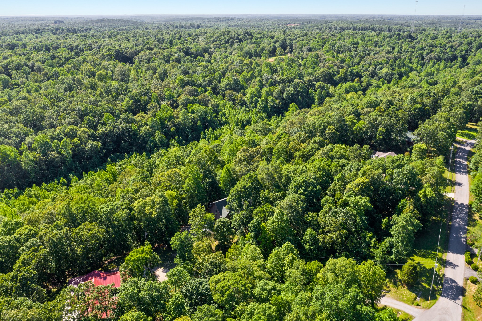 176 Jerry Smith Road Indian Mound, TN 37079 - Photo 9 of 37 Gallery Image 9