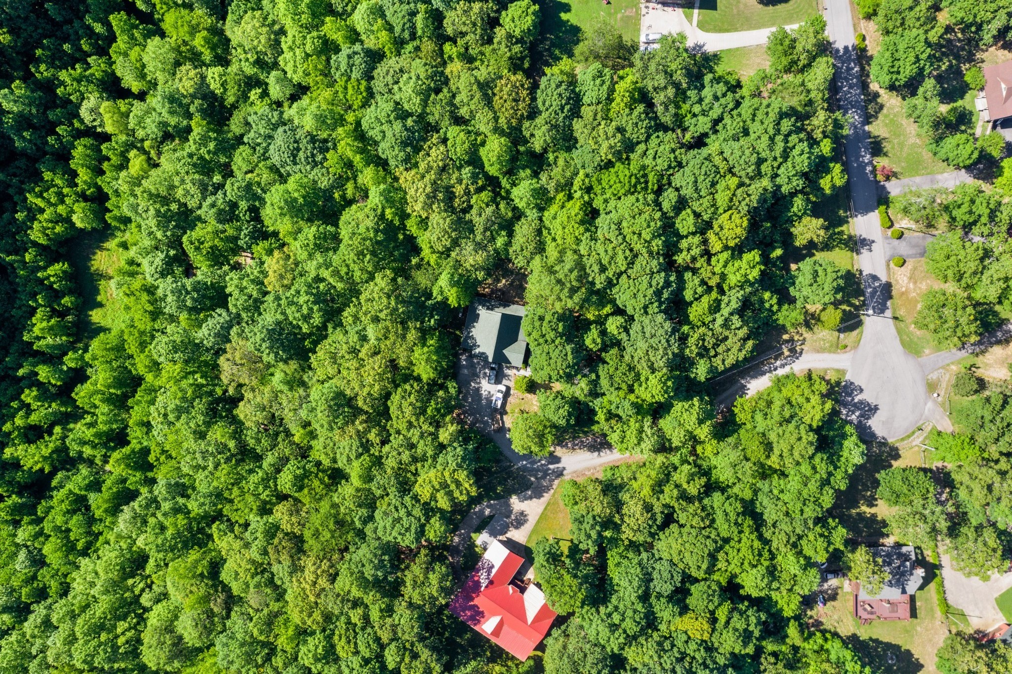 176 Jerry Smith Road Indian Mound, TN 37079 - Photo 10 of 37 Gallery Image 10