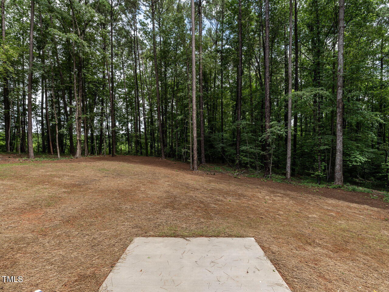 40 Tamaran Ct Spring Spring Hope, NC 27882 - Photo 43 of 45 043-1280x960-backyard