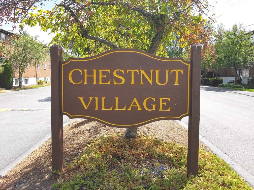 30 Westgate Road, Unit 6 Boston, MA 02467 - Photo 1 of 1