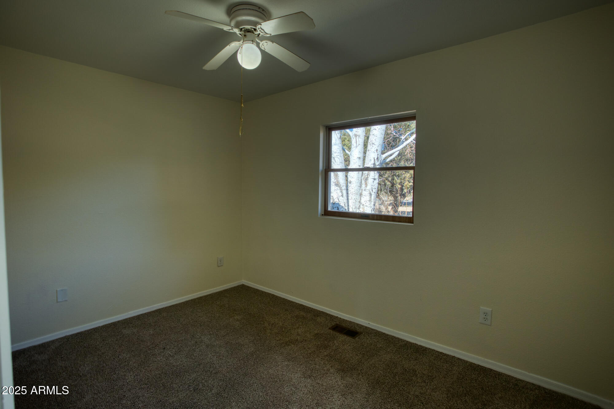 1435 Flag Hollow Road Lakeside, AZ 85929 - Photo 28 of 44