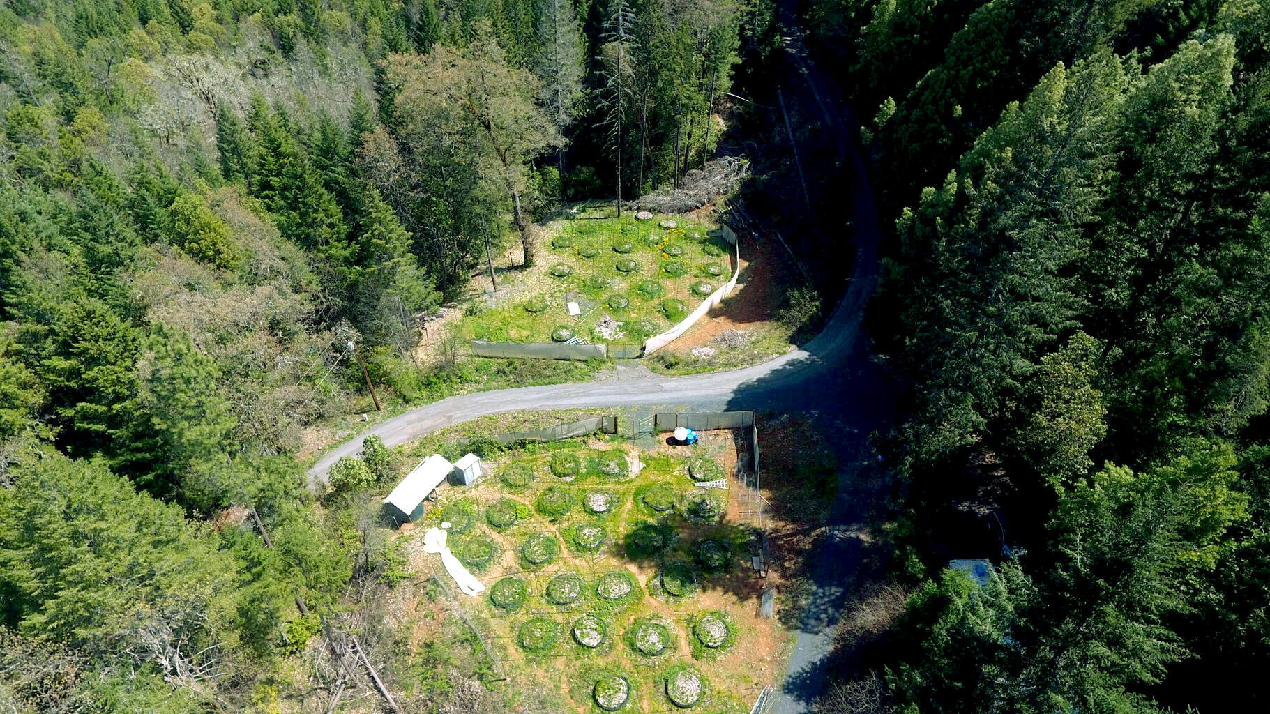 6223 Takilma Road Cave Junction, OR 97523 - Photo 13 of 13 20220523210759624280000000-o