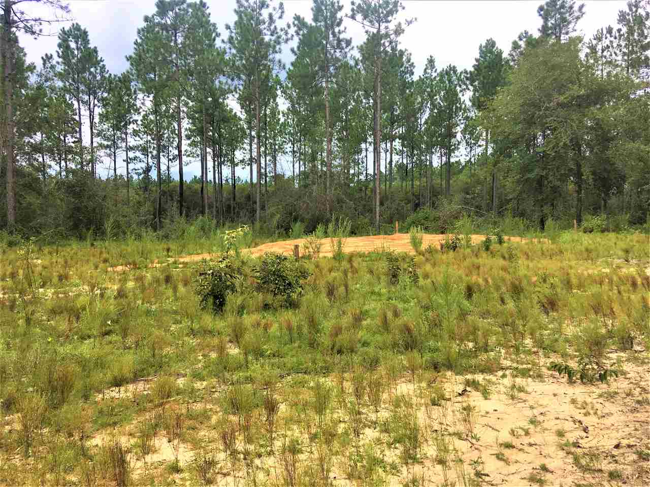 0 Dyas Road Perdido, AL 36562 - Photo 2 of 7