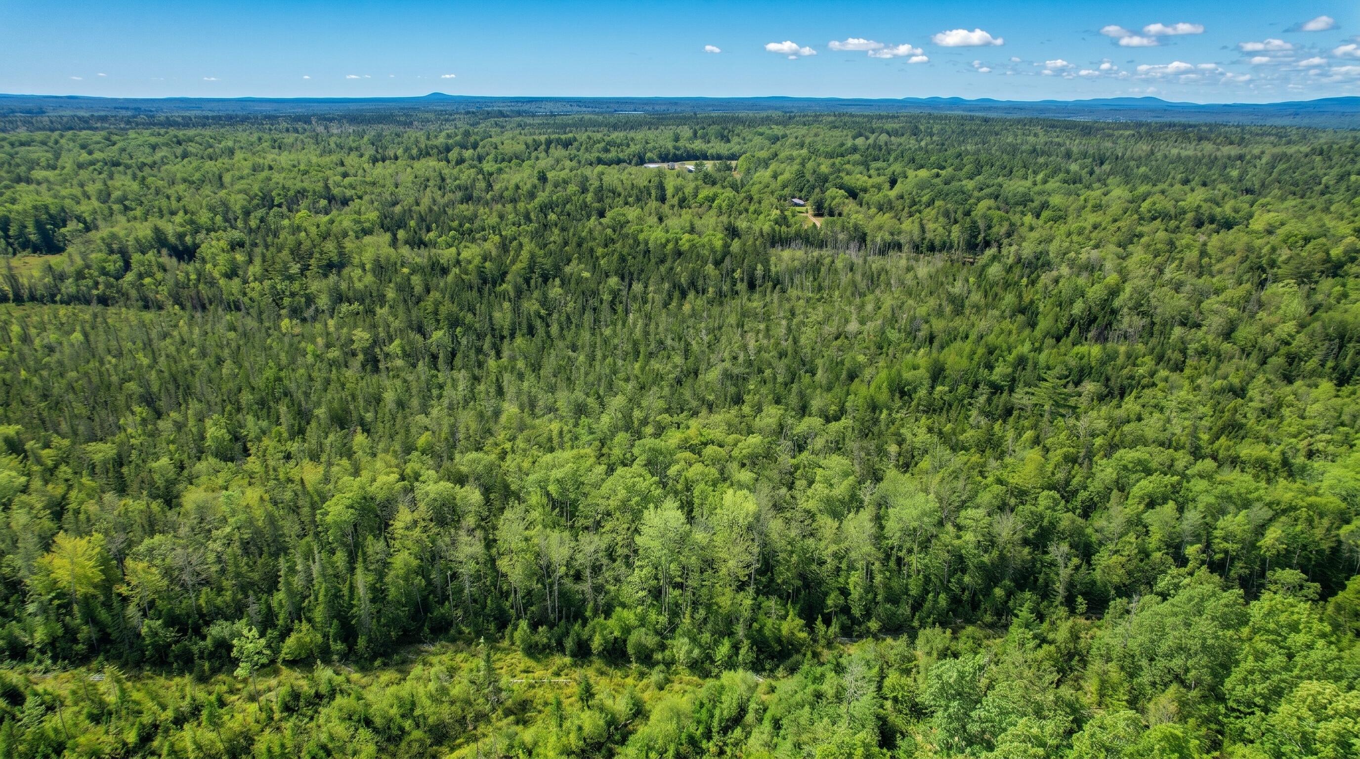 535 Bert Gray Road Sullivan, ME 04664 - Photo 5 of 15
