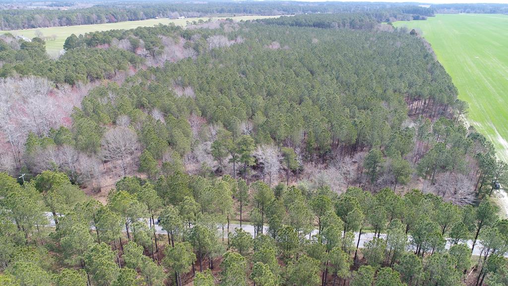 0 Drummondtown Road Accomac, VA 23301 - Photo 35 of 50