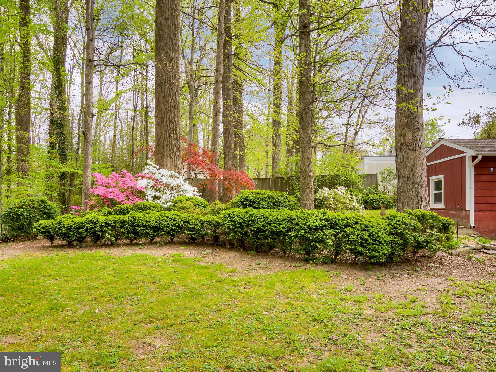 5416 Ferndale Street Springfield, VA 22151 - Photo 25 of 30 Exterior (Rear)