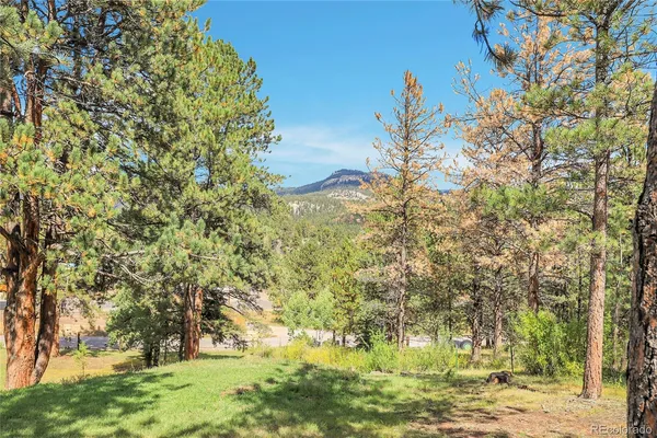 $775,000 | 13009 South Parker Avenue, Pine, CO 80470