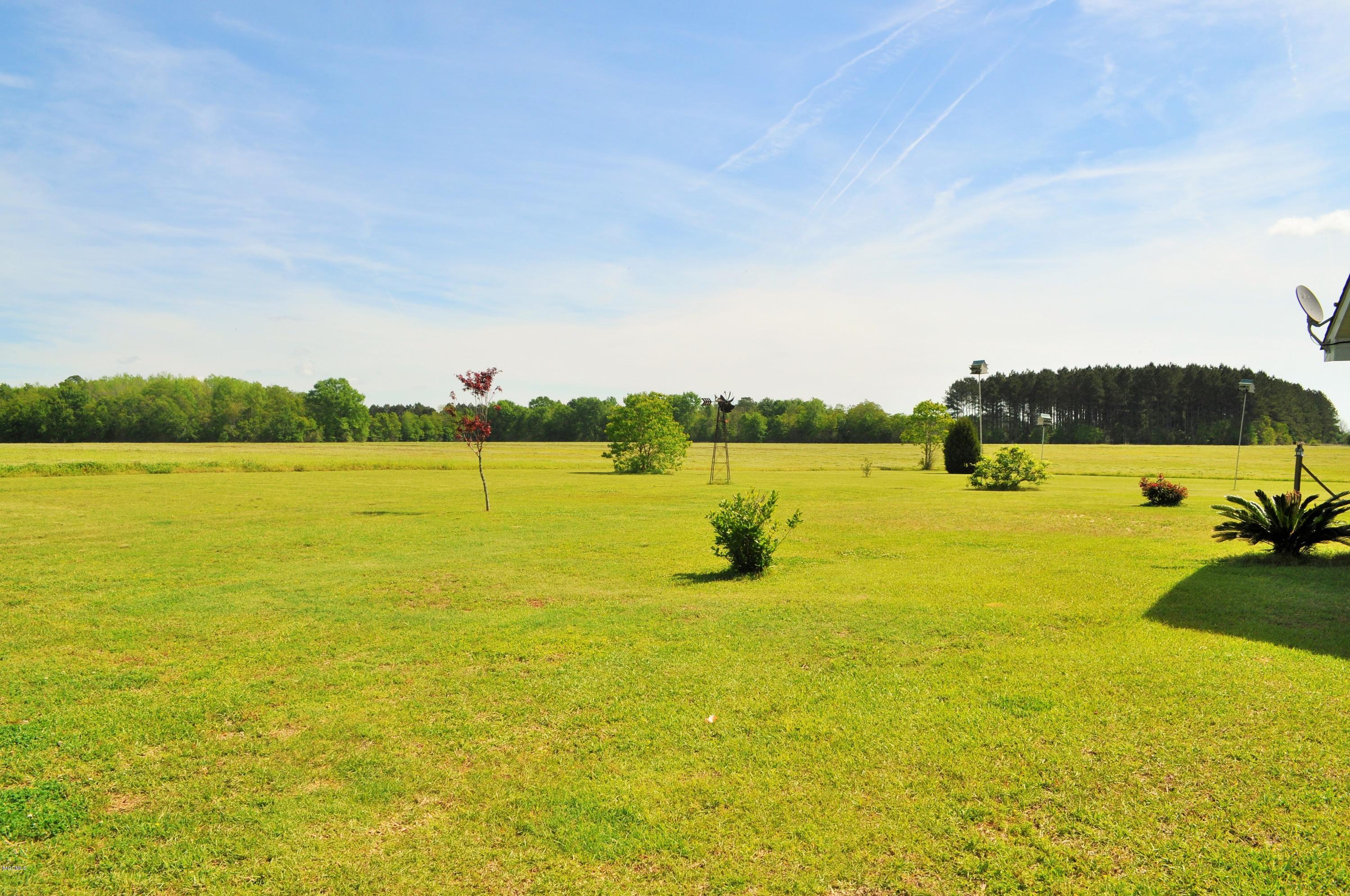 6305 Wesley Powell Road Lucedale, MS 39452 - Photo 9 of 23 DSC_0246 (2)