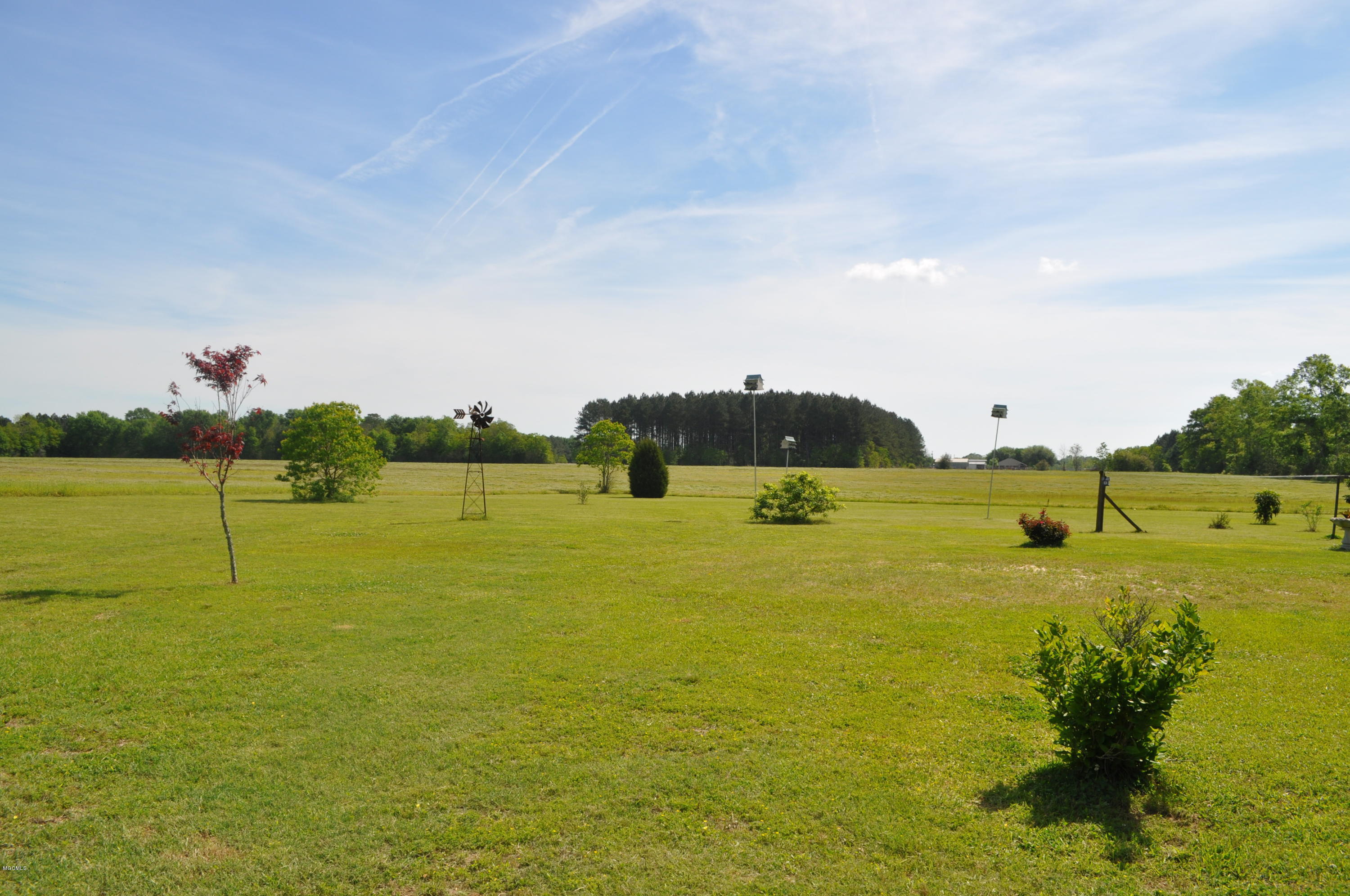 6305 Wesley Powell Road Lucedale, MS 39452 - Photo 10 of 23 DSC_0247