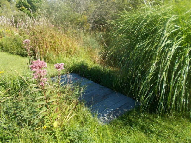 13073 Yates Road Copemish, MI 49625 - Photo 25 of 27 DSCN0120-001