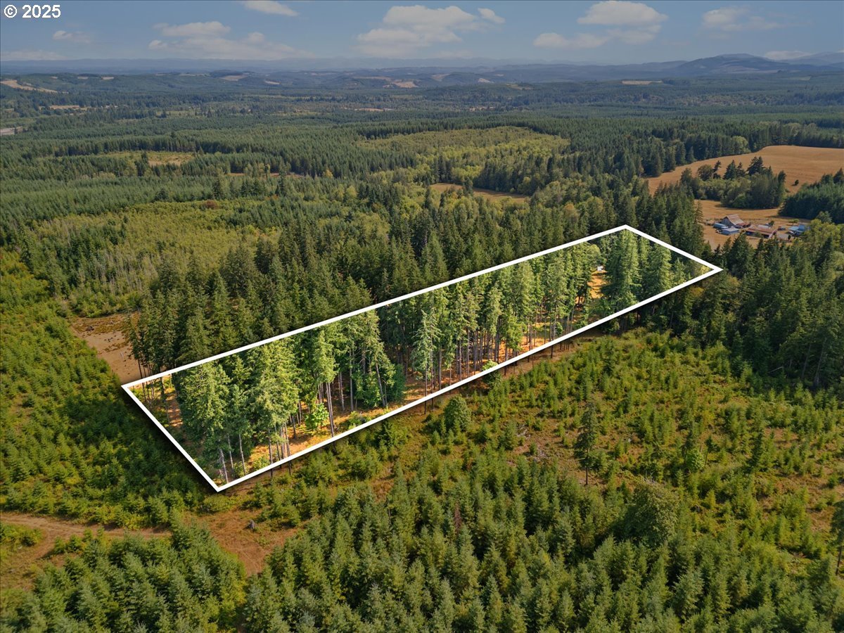 510 Wiley Road Silverlake, WA 98645 - Photo 26 of 31 Gallery Image 26