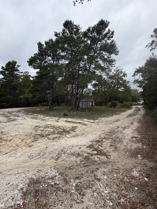 2094 Lighthouse Road Carrabelle, FL 32322 - Photo 38 of 58