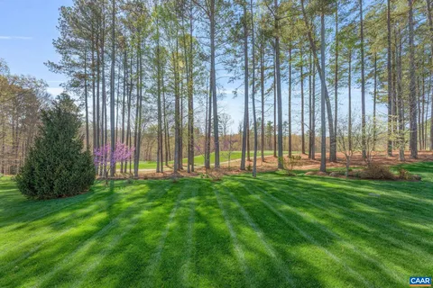 a view of a park with large trees
