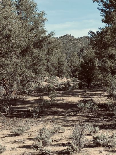 Sacatar Road Inyokern, CA 93527 - Photo 12 of 22 Gallery Image 12