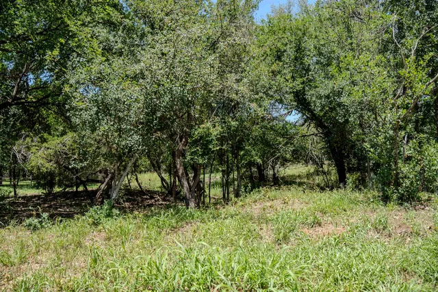 a big yard with lots of green space and deers