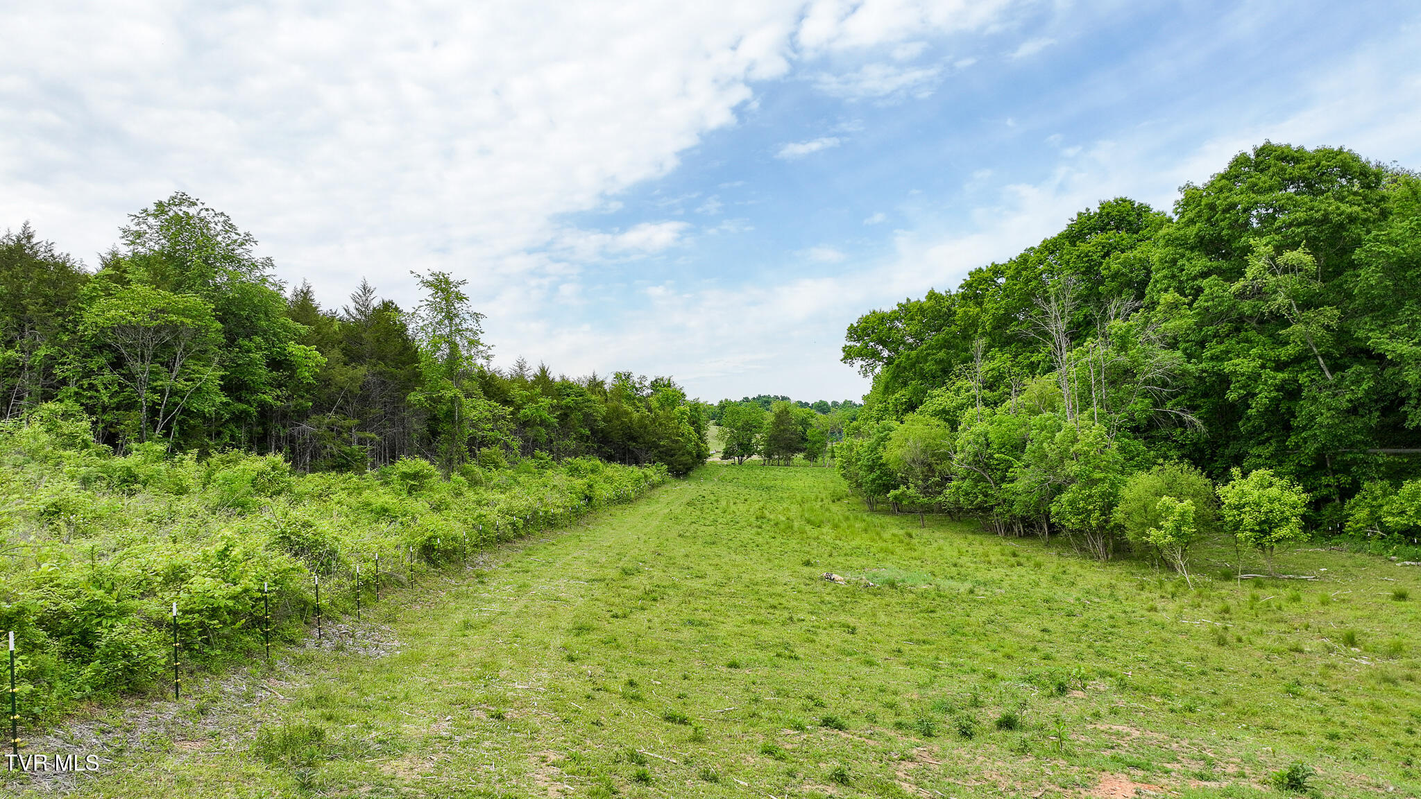 Lot 0 Hilldale Road Midway, TN 37809 - Photo 10 of 17 Land